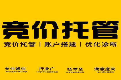 竞价推广实战技巧：成功案例分享会